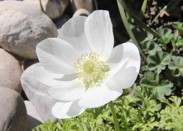 Hotel Natuerlich Famos Schlafen Warburg