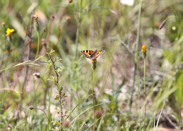 Natuerlich Famos Schlafen * Warburg